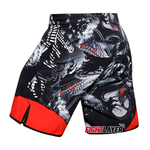 'Nishikigoi' Training Shorts