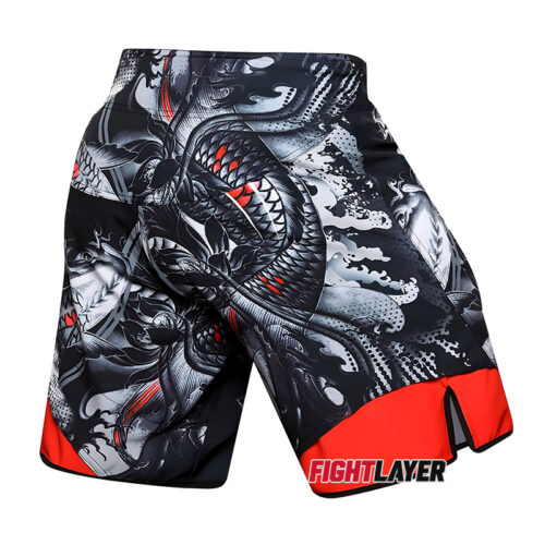 'Nishikigoi' Training Shorts